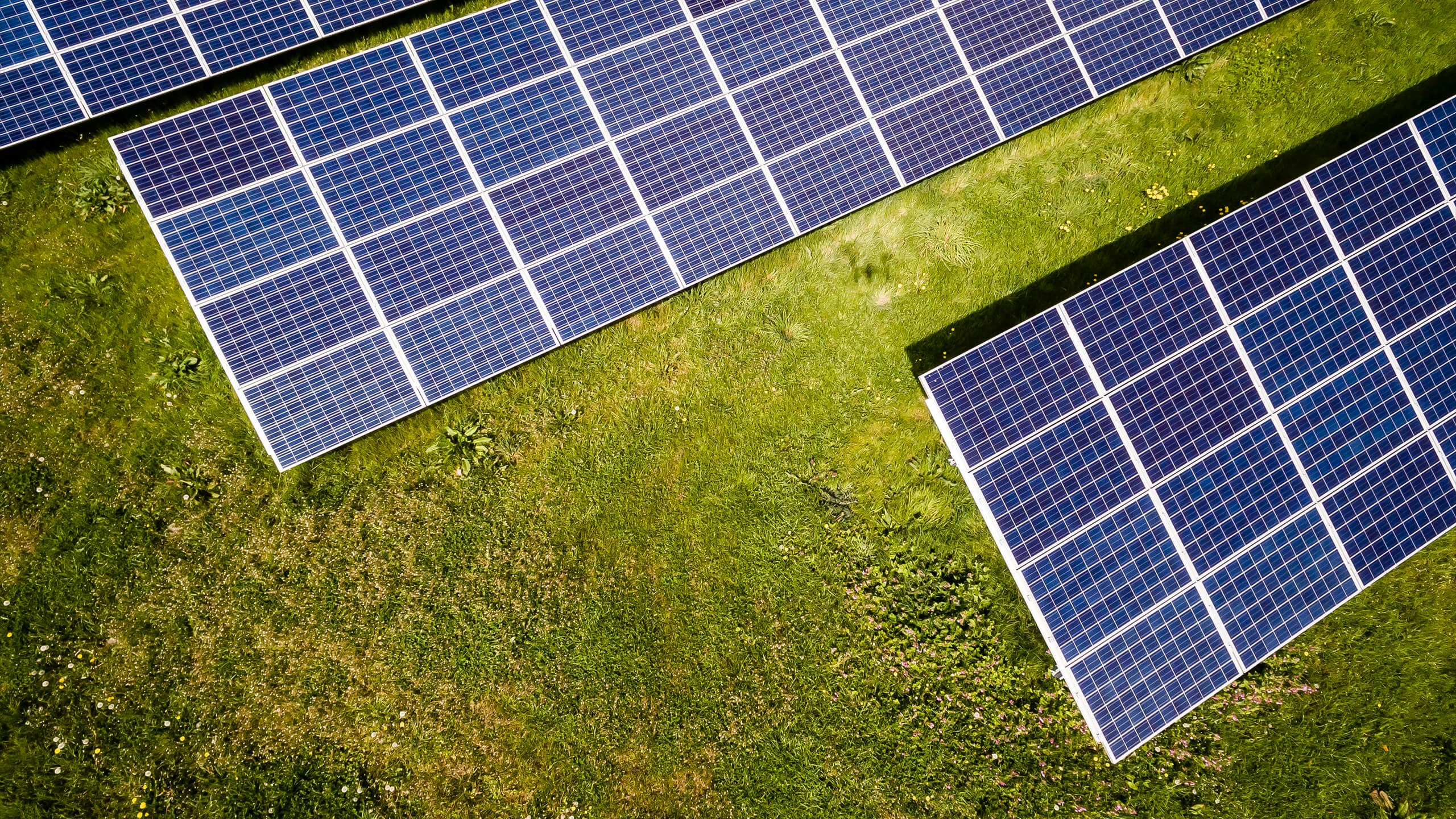 Solar Panel Maintenance